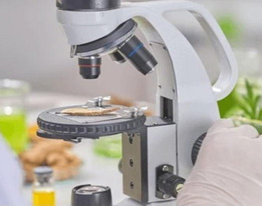R&D